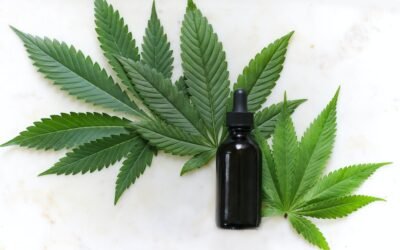Les bienfaits de l’huile de CBD : un remède naturel pour soulager le stress et l’anxiété
