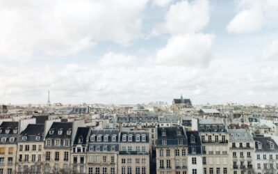 Légalité du CBD en France: Ce que Dit la Loi