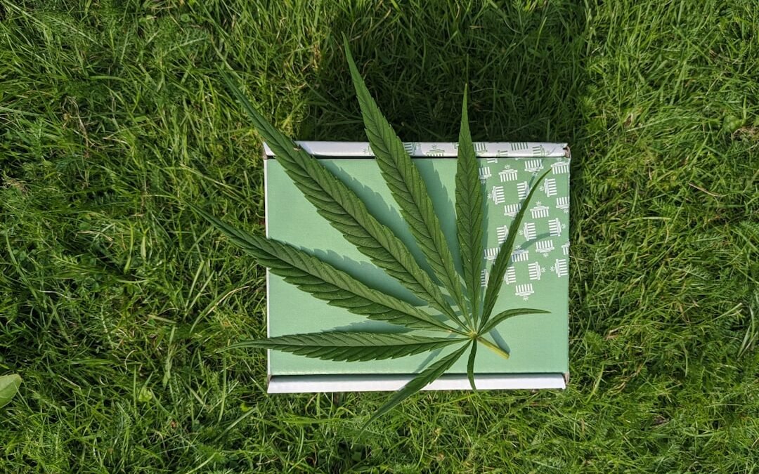 Éviter les Pièges : Comment Reconnaître un Produit CBD de Qualité