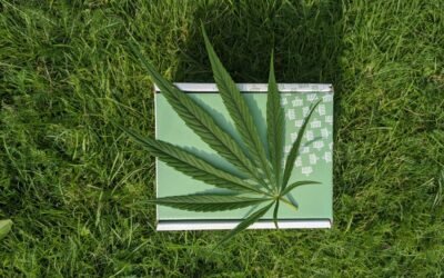 Éviter les Pièges : Comment Reconnaître un Produit CBD de Qualité