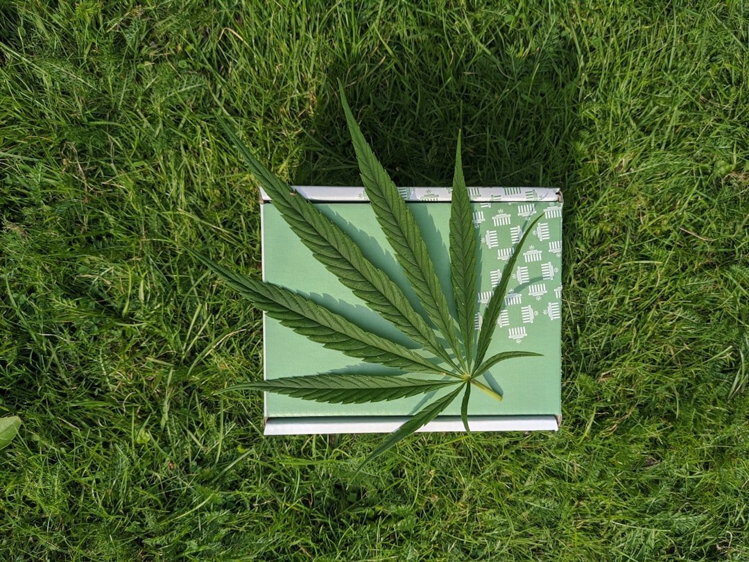 Photo Éviter les Pièges : Comment Reconnaître un Produit CBD de Qualité