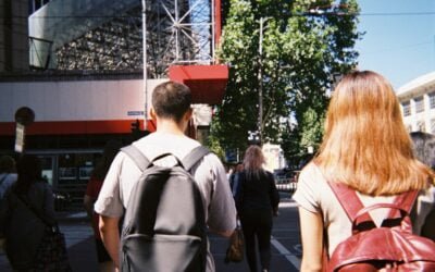 Les Effets du CBD sur le Système Immunitaire