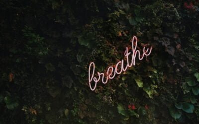 Le CBD et la Méditation : Comment Ils Travaillent Ensemble pour la Relaxation