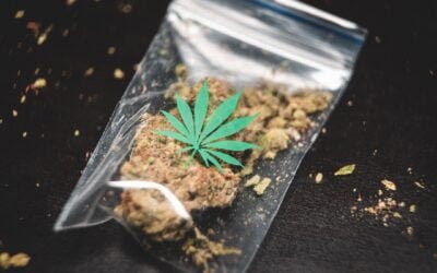 Ouvrir un magasin CBD en France : Comment faire ?