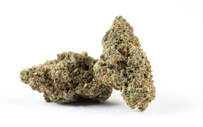 Comment reconnaître du CBD à de la beuh