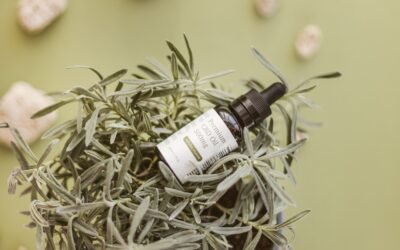 Comment choisir le pourcentage de CBD adapté ?