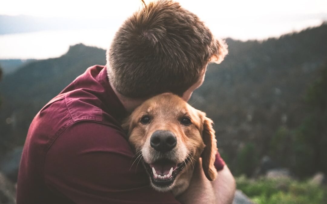 Comment donner du CBD à son chien: guide complet