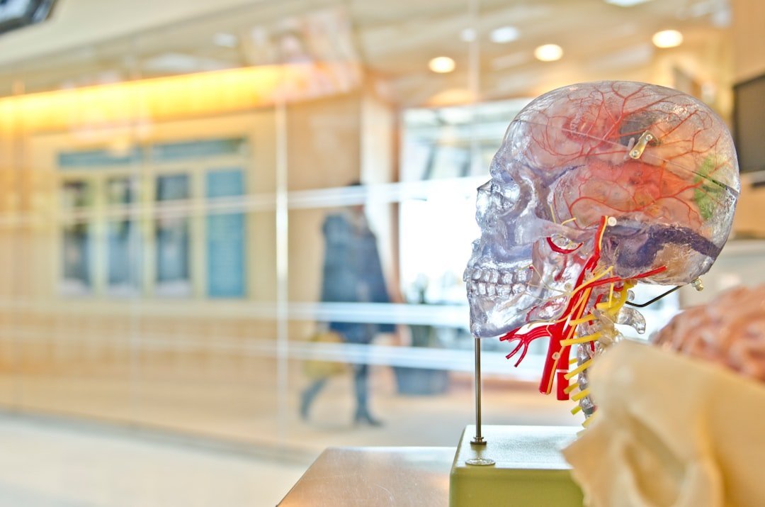 Comment le CBD agit sur le cerveau : les effets et les bénéfices